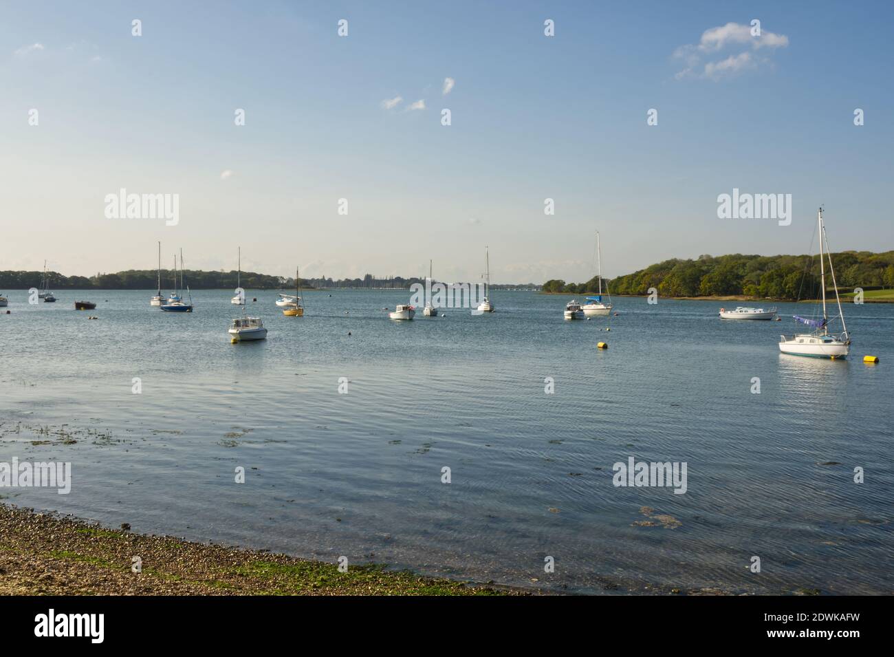 Barche ormeggiate a Dell Quay nel porto di Chichester, West Sussex, Inghilterra Foto Stock