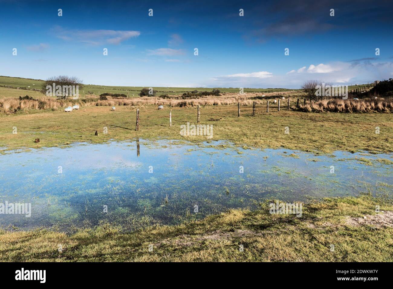 Terreno acquerello su terreni agricoli a Bodmin Moor in Cornovaglia. Foto Stock