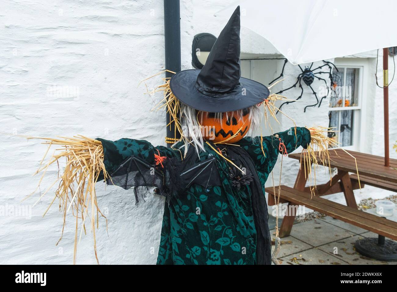 Strega spaventapasseri immagini e fotografie stock ad alta risoluzione -  Alamy