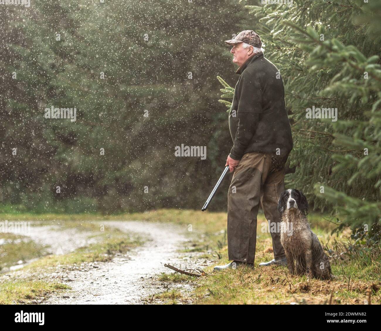 il vecchio e il suo cane sul fagiano sparano Foto Stock