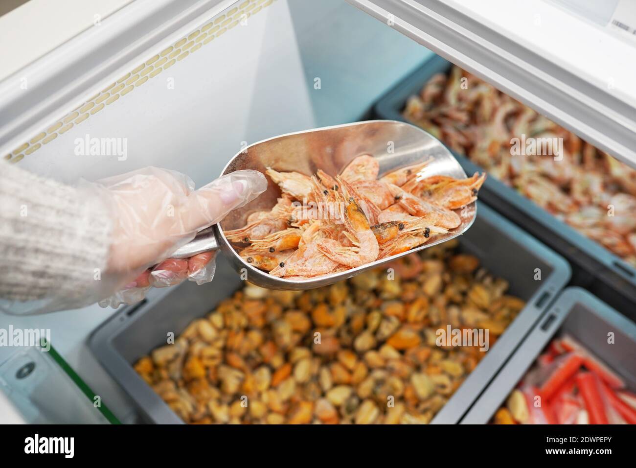 Pesce fresco in un mercato del pesce, a mano femminile che tiene gamberetti congelati Foto Stock