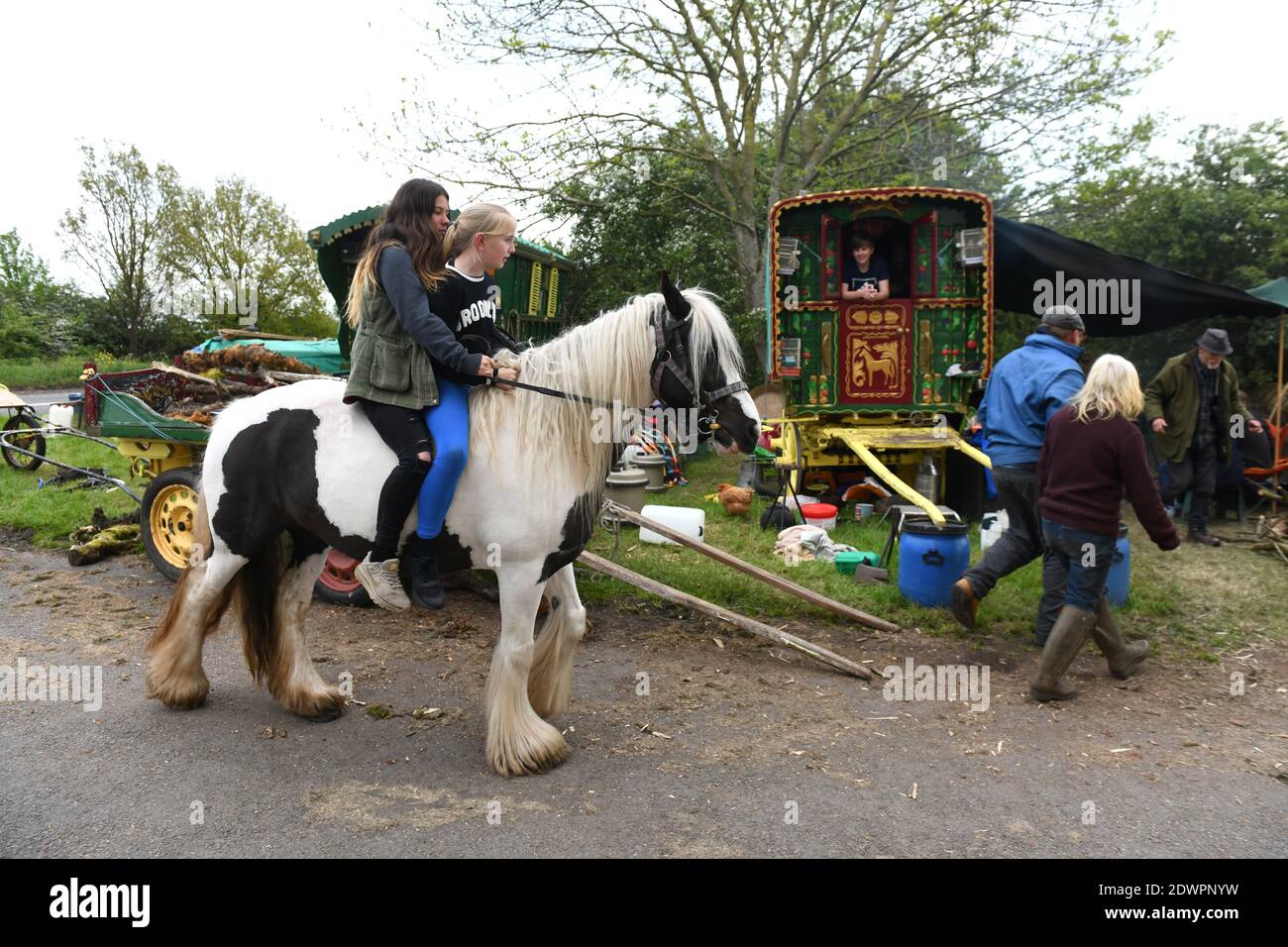 Giovane Romany ragazza cavallo COB Inghilterra Regno Unito Romany viaggiatori vicino Hinstock in Shropshire. Viaggiatori viaggiatori Gran Bretagna ragazze campo vagoni Foto Stock