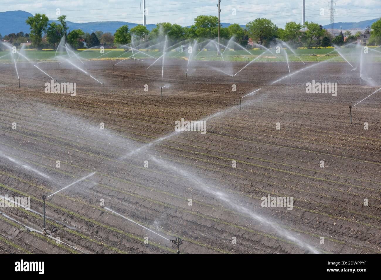 Feldbewässerung Foto Stock