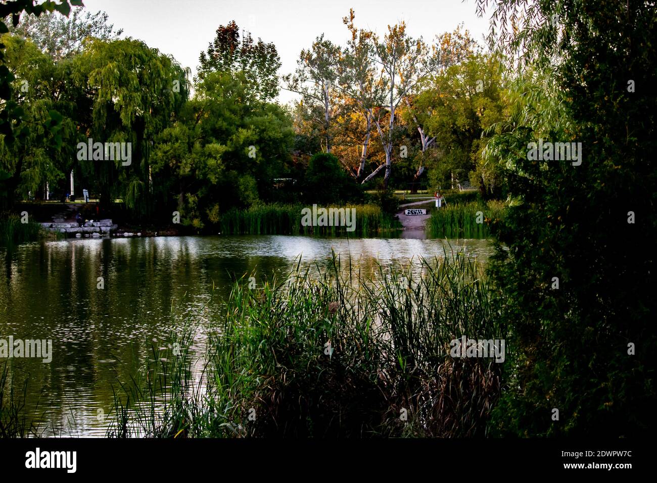 Fuga dalla natura Foto Stock