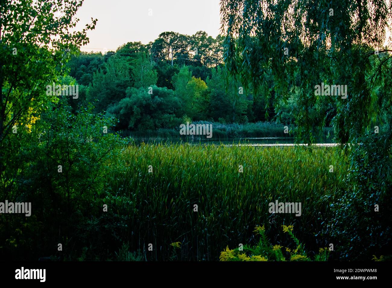 Fuga dalla natura Foto Stock