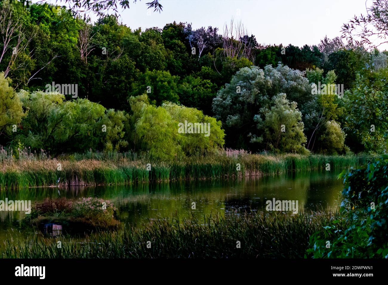 Fuga dalla natura Foto Stock