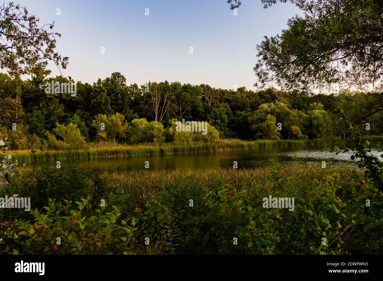 Fuga dalla natura Foto Stock