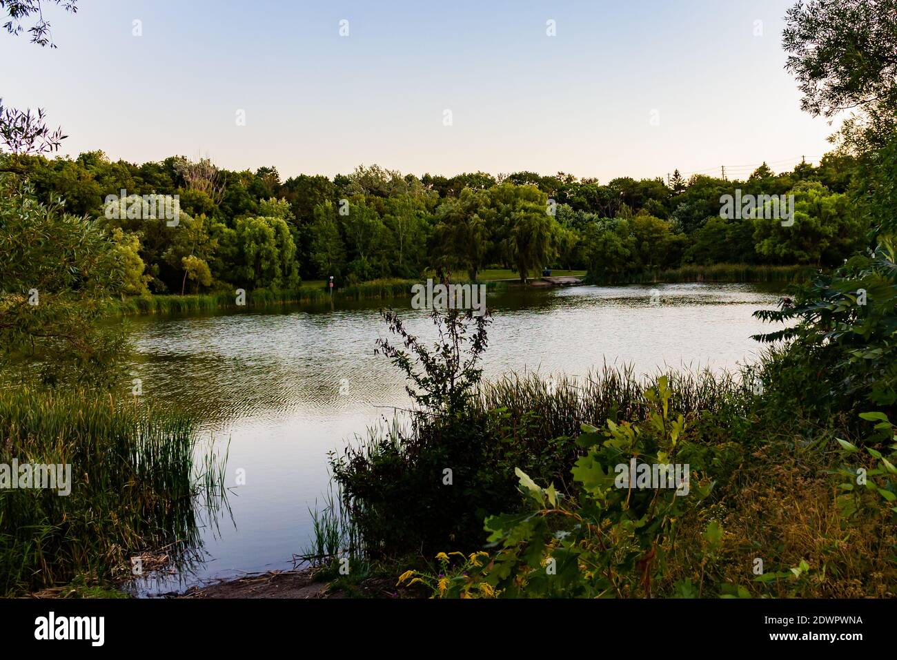 Fuga dalla natura Foto Stock