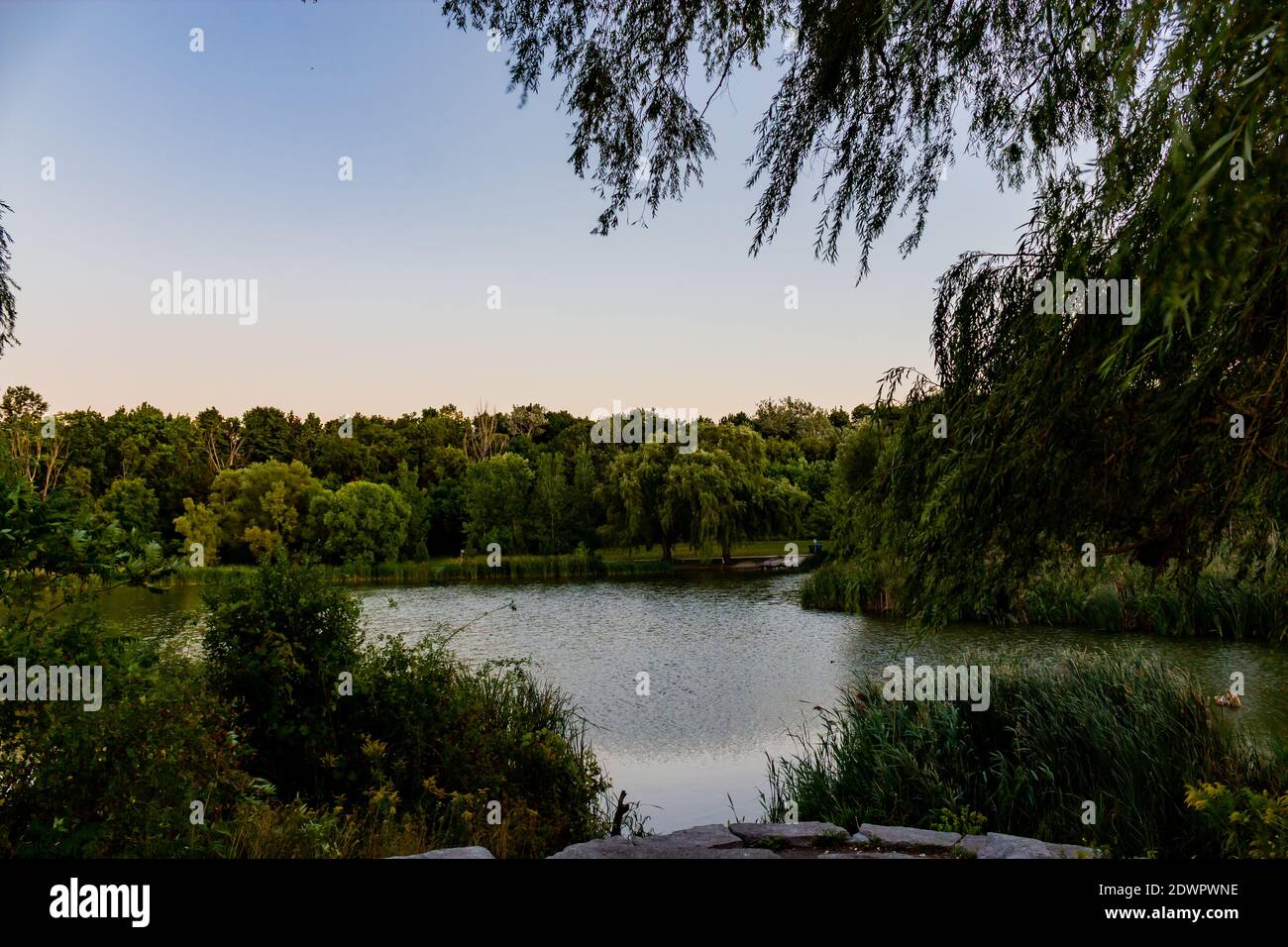 Fuga dalla natura Foto Stock