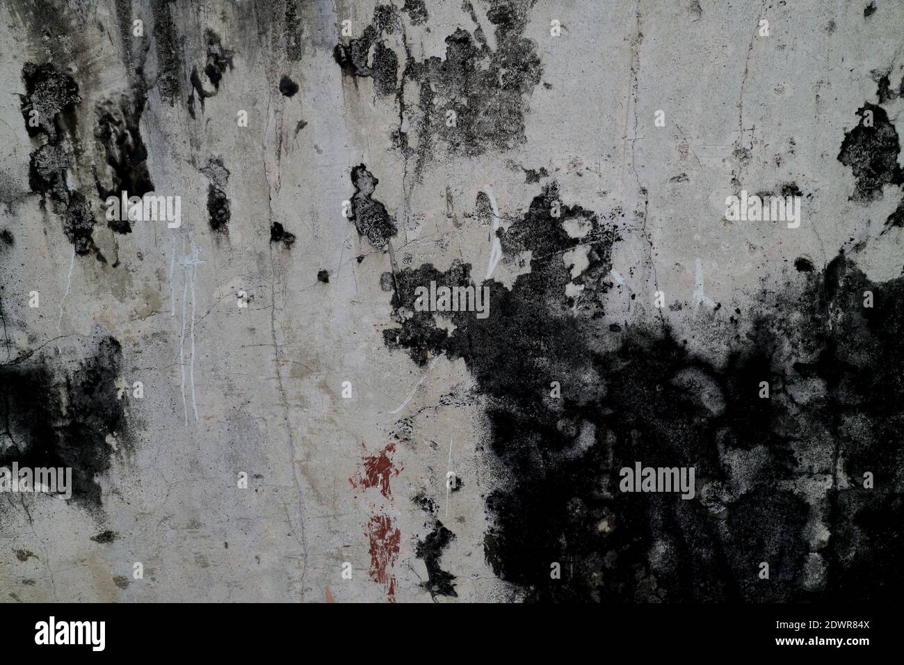 Cemento bianco e nero vecchio sfondo grigio della struttura delle pareti, caratterizzato da pareti in cemento testurizzato la tinta grigia profonda delle vecchie pareti in cemento. Foto Stock
