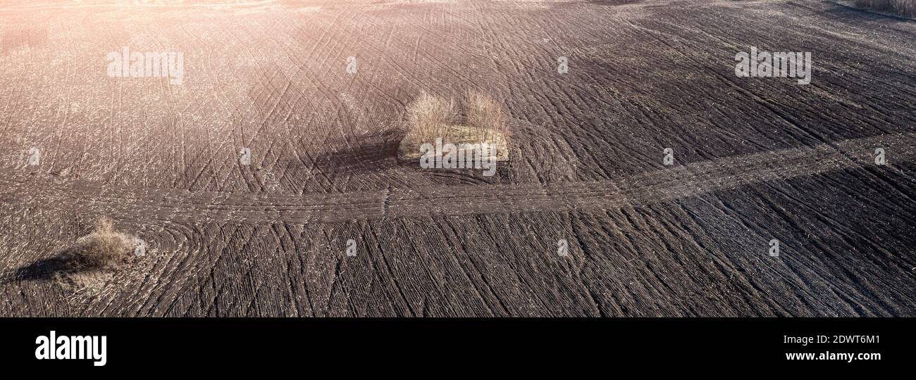 Terreno arato campo con alberi crescenti in mezzo Foto Stock