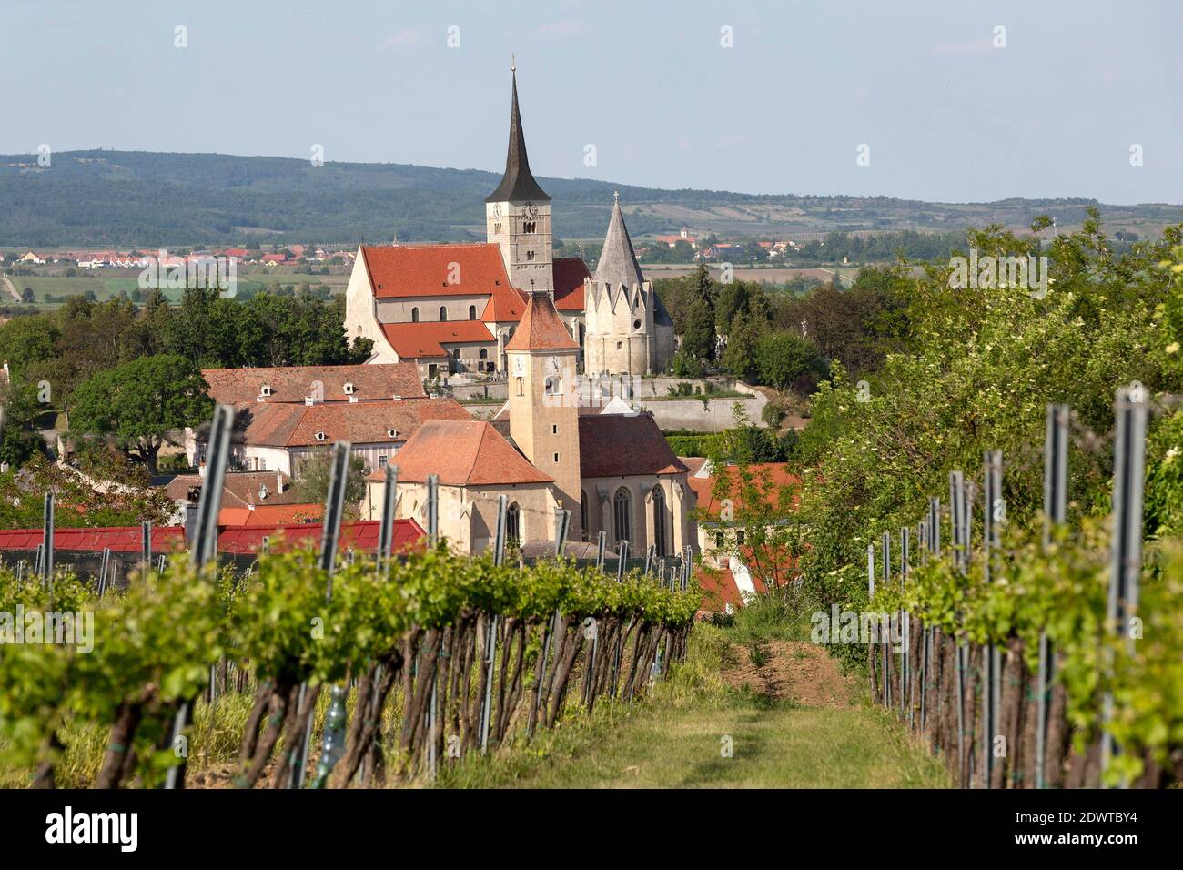 Blick zur Heiligblutkirche, Pfarrkirche HL. Michael und Karner, Pulkau im Weinviertel NÖ, Österreich Foto Stock