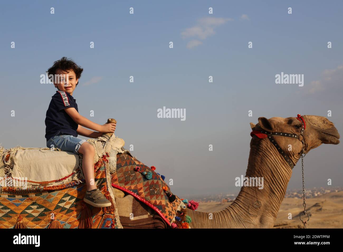 Un bambino guida un cammello nel deserto di fronte alle grandi Piramidi di Giza - una delle sette meraviglie del mondo in un viaggio turistico a Giza, Egitto Foto Stock