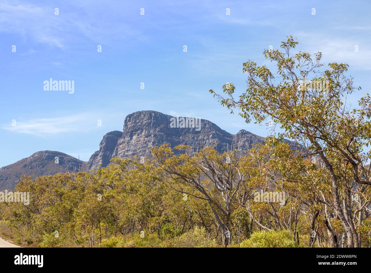 Bluff Knoll, la vetta più alta del Sitrling Range National Park, a nord dell'Alabany nell'Australia occidentale Foto Stock