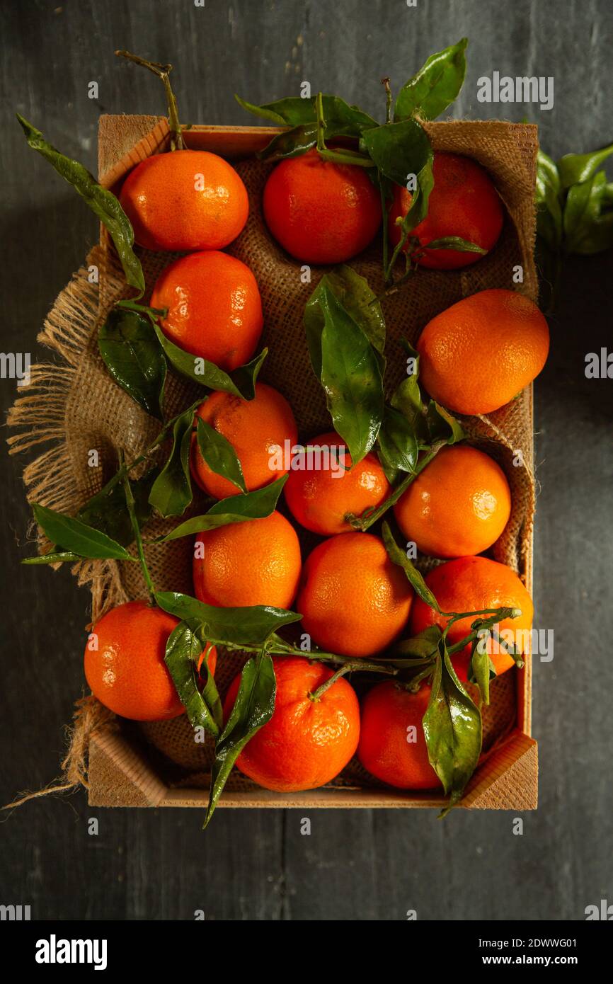 Clementine in un vassoio di legno Foto Stock