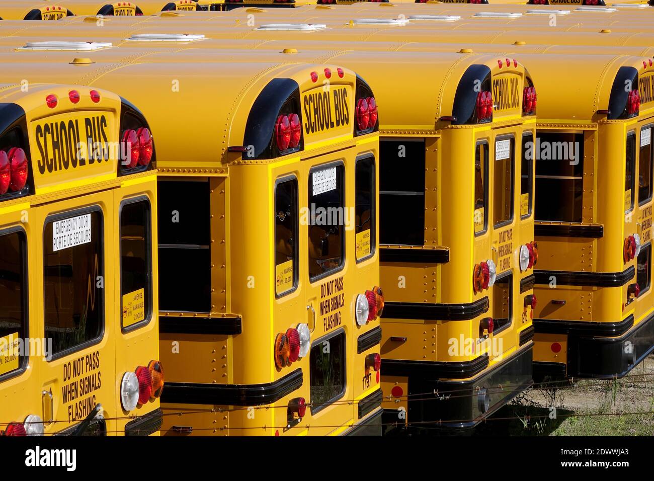Un deposito Yard pieno di New North American Yellow School Autobus in attesa di consegna ai clienti Foto Stock