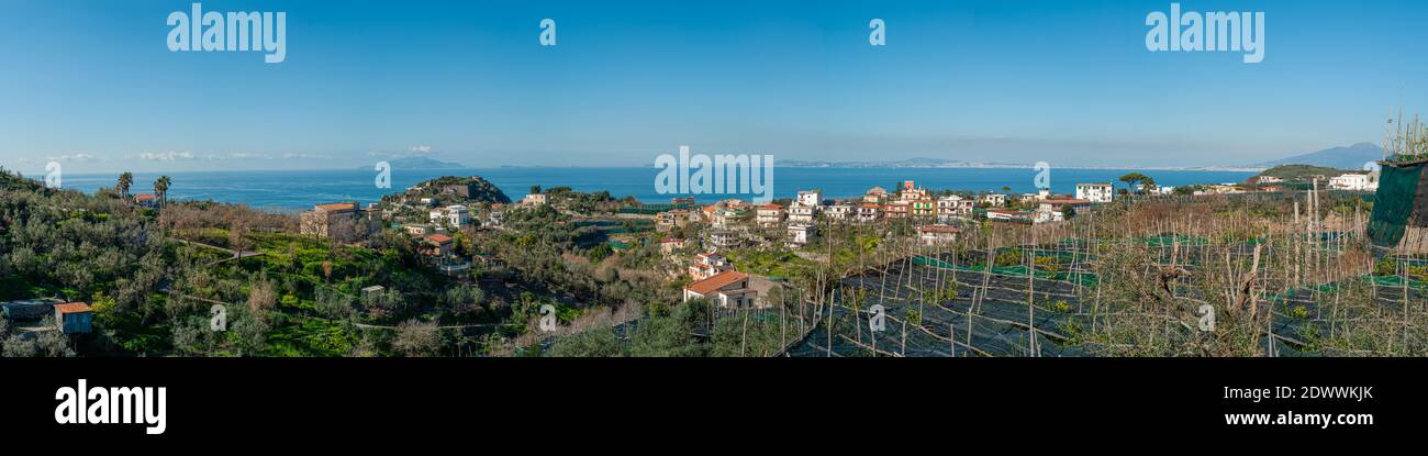 Panorama di massa Lubrense con i suoi limoneti, Ischia, Procida e Vesuvio in lontananza Foto Stock