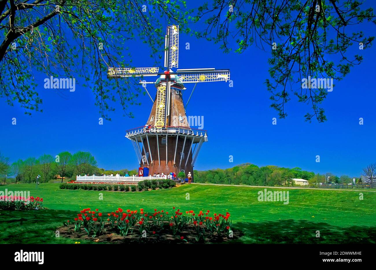 Mulino a vento sull'isola di Holland Michigan Tulip Festival Foto Stock