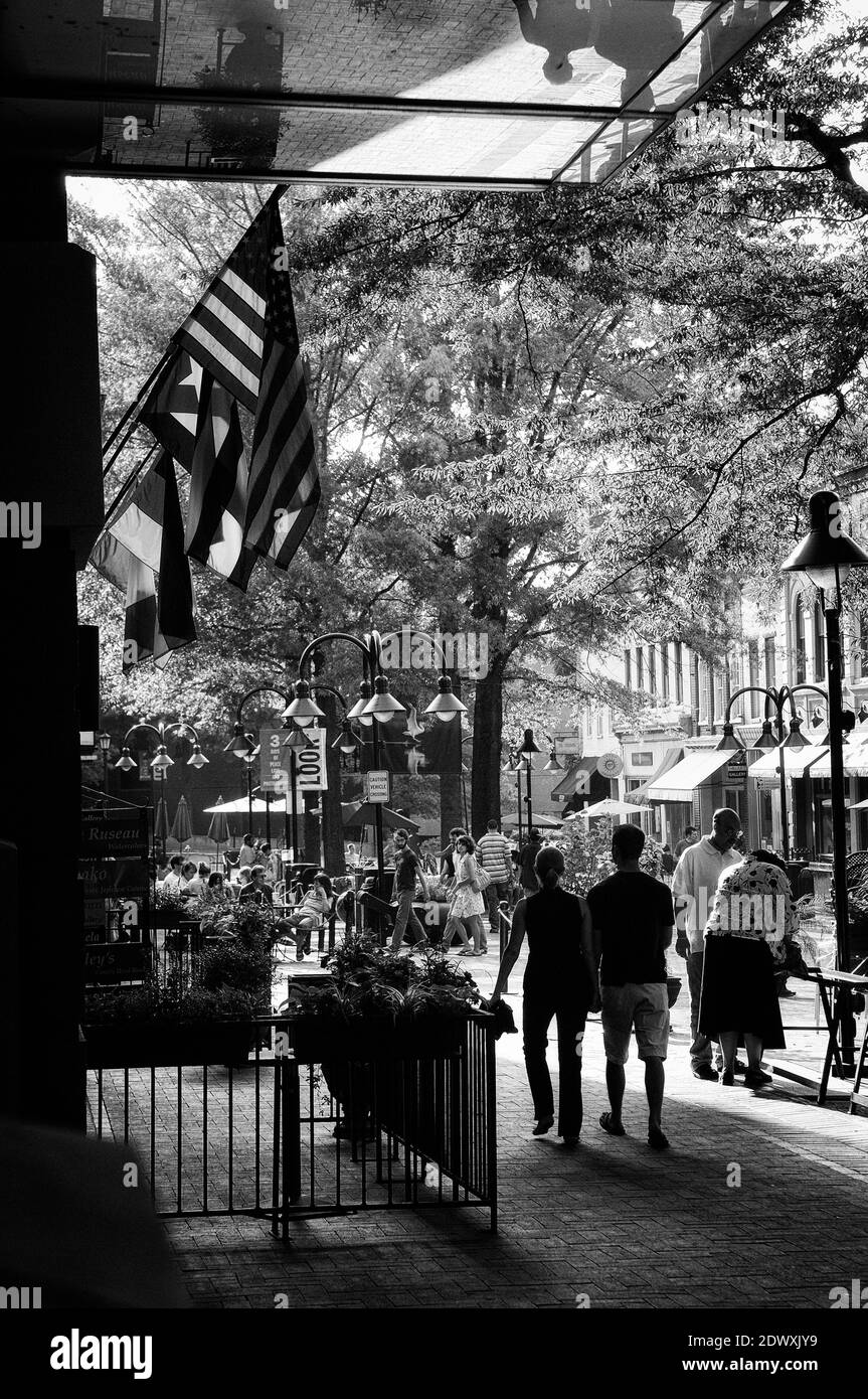 Centro commerciale del centro storico, Charlottesville, Virginia, Stati Uniti Foto Stock