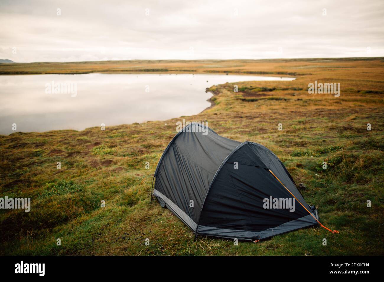 Impostazione di Tent.Camping all'esterno su un bel prato vicino al lake.Road viaggio campeggio in Islanda.Morning scene.Sleeping in Tents.Hikers alloggio per th Foto Stock