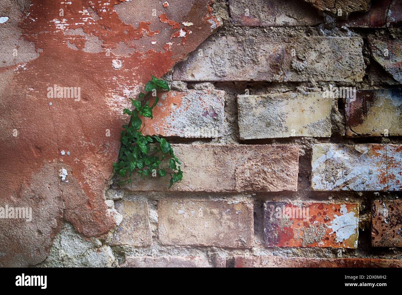 Vecchio muro rotto di mattoni fatto di gesso. Vecchio muro di mattoni rotto  con intonaco fessurato Foto stock - Alamy