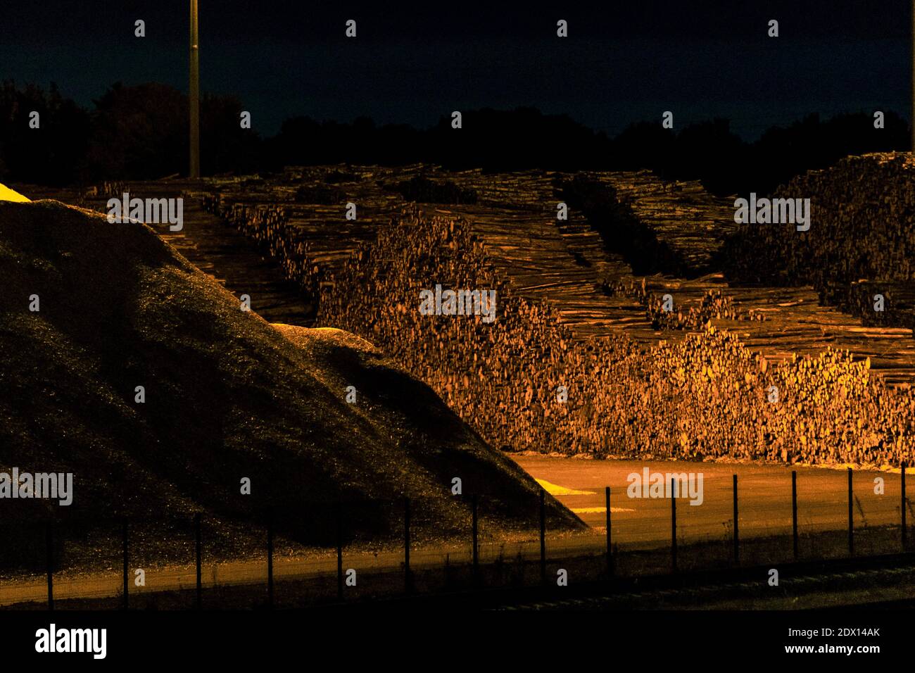 tronchi di legno accatastati in un palo vicino ai trucioli di legno accatastato in un mucchio grande e tutto questo è dentro un'area chiusa con illuminazione artificiale illuminata alla coscia Foto Stock