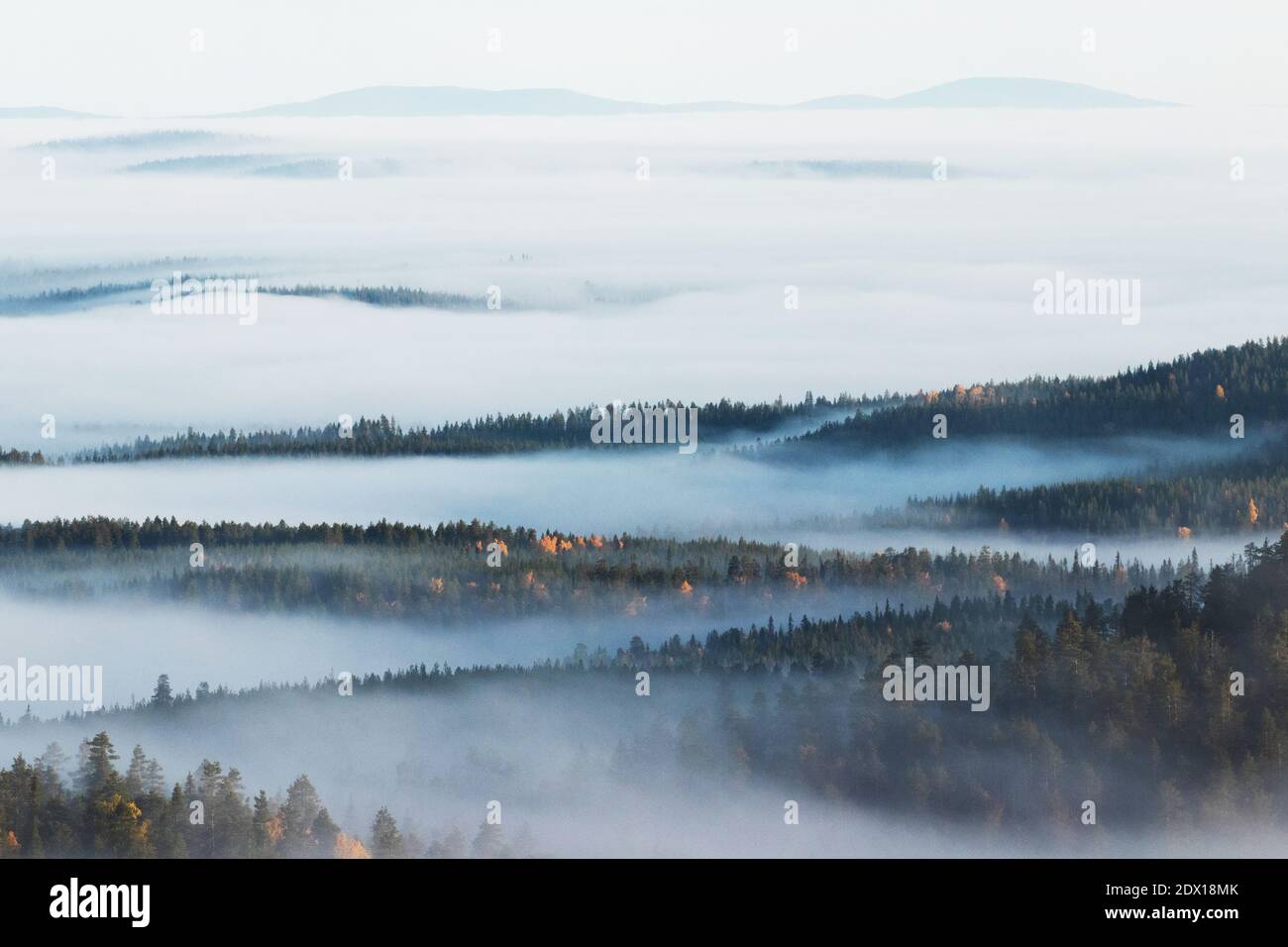 Grandi campane in nebbia durante una mattina nel nord della Finlandia in autunno. Foto Stock