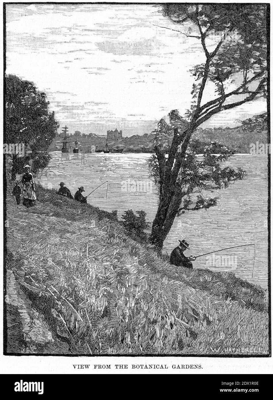 Incisione di una vista dal giardino botanico di Melbourne, Australia, circa 1890 Foto Stock
