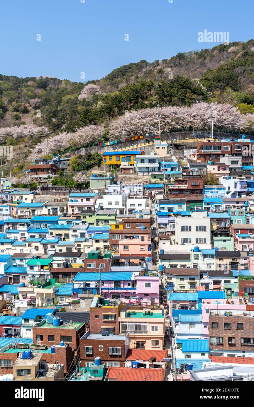 Villaggio culturale Gamcheon, Busan, Corea del Sud. Foto Stock