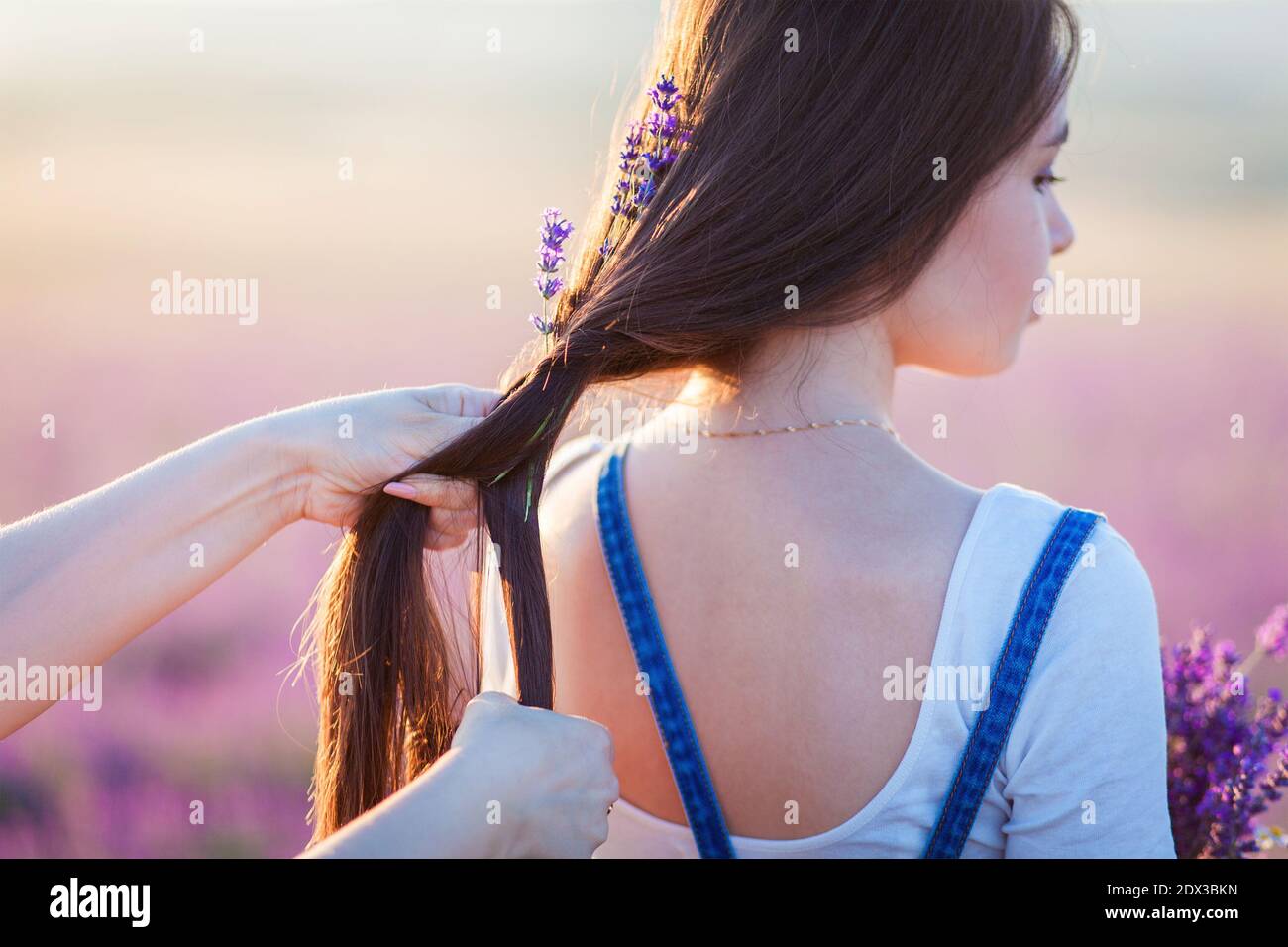 La mamma tesse i fiori di lavanda nei capelli di una figlia Foto Stock