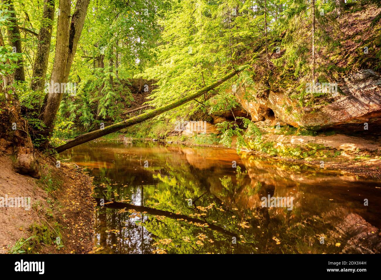 circondato da boschi, la ripida riva del fiume con la calma acqua fluente passato, in cui la bellezza naturale circostante può essere visto come un riferimento Foto Stock