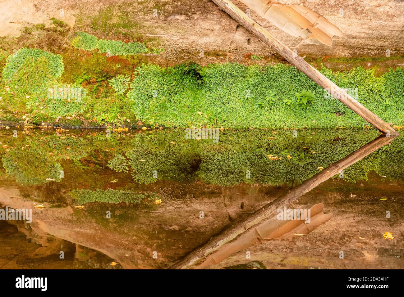 una scogliera di sabbia e un fiume che scorre che riflette il bellezza della natura circostante Foto Stock