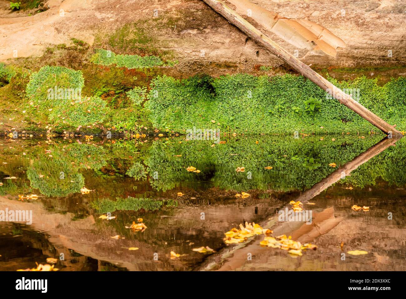 una scogliera di sabbia e un fiume che scorre che riflette il bellezza della natura circostante Foto Stock
