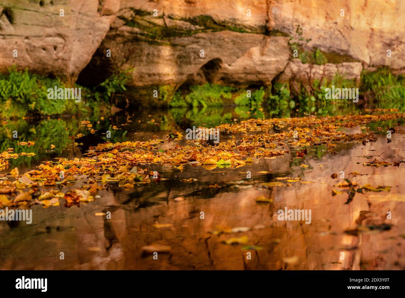 una scogliera di sabbia e un fiume che scorre che riflette il bellezza della natura circostante Foto Stock