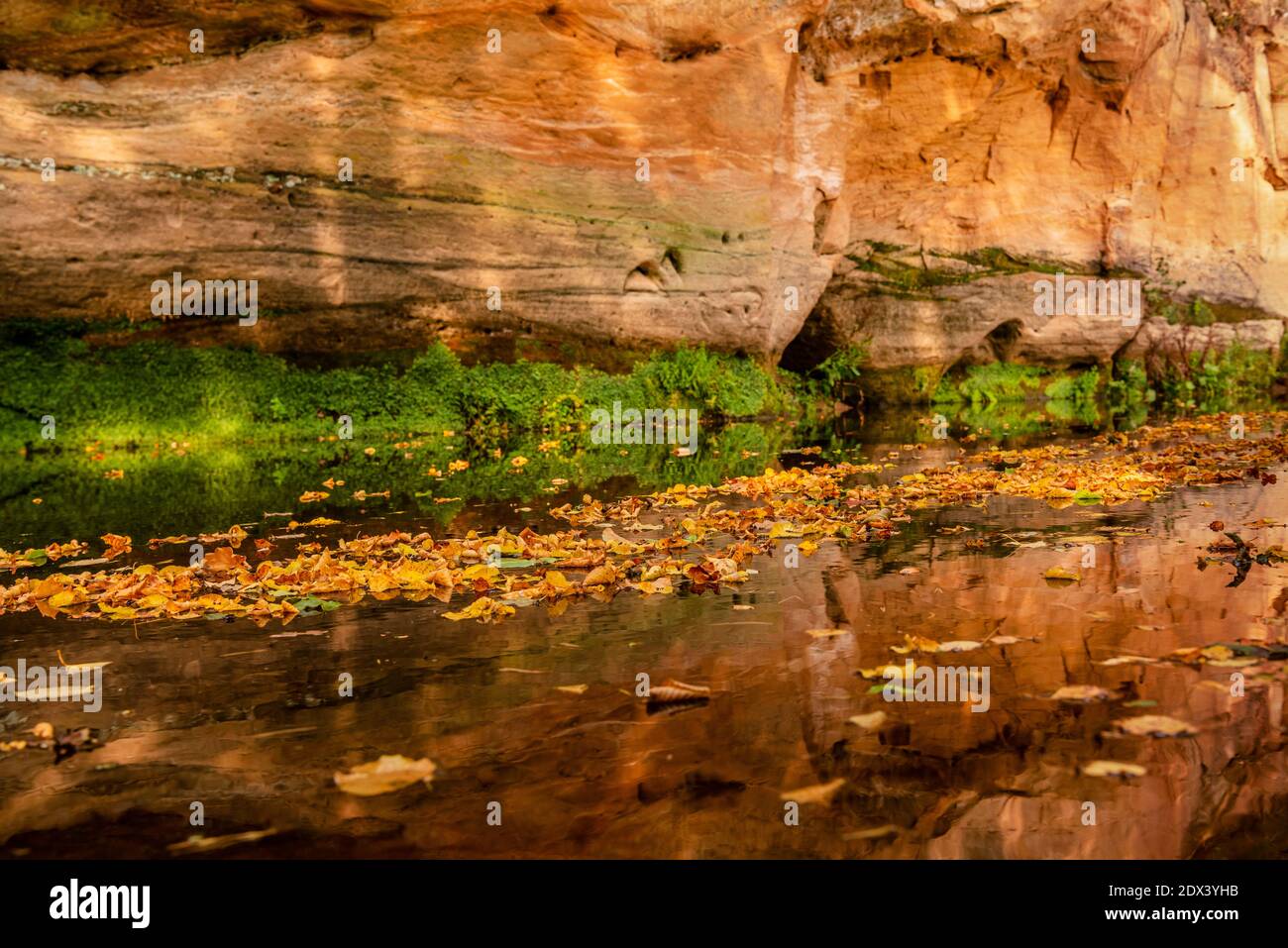 una scogliera di sabbia e un fiume che scorre che riflette il bellezza della natura circostante Foto Stock