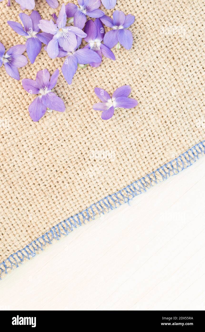 Una vista dall'alto di violette profumate con texture di burlap spazio di copia - perfetto per lo sfondo Foto Stock