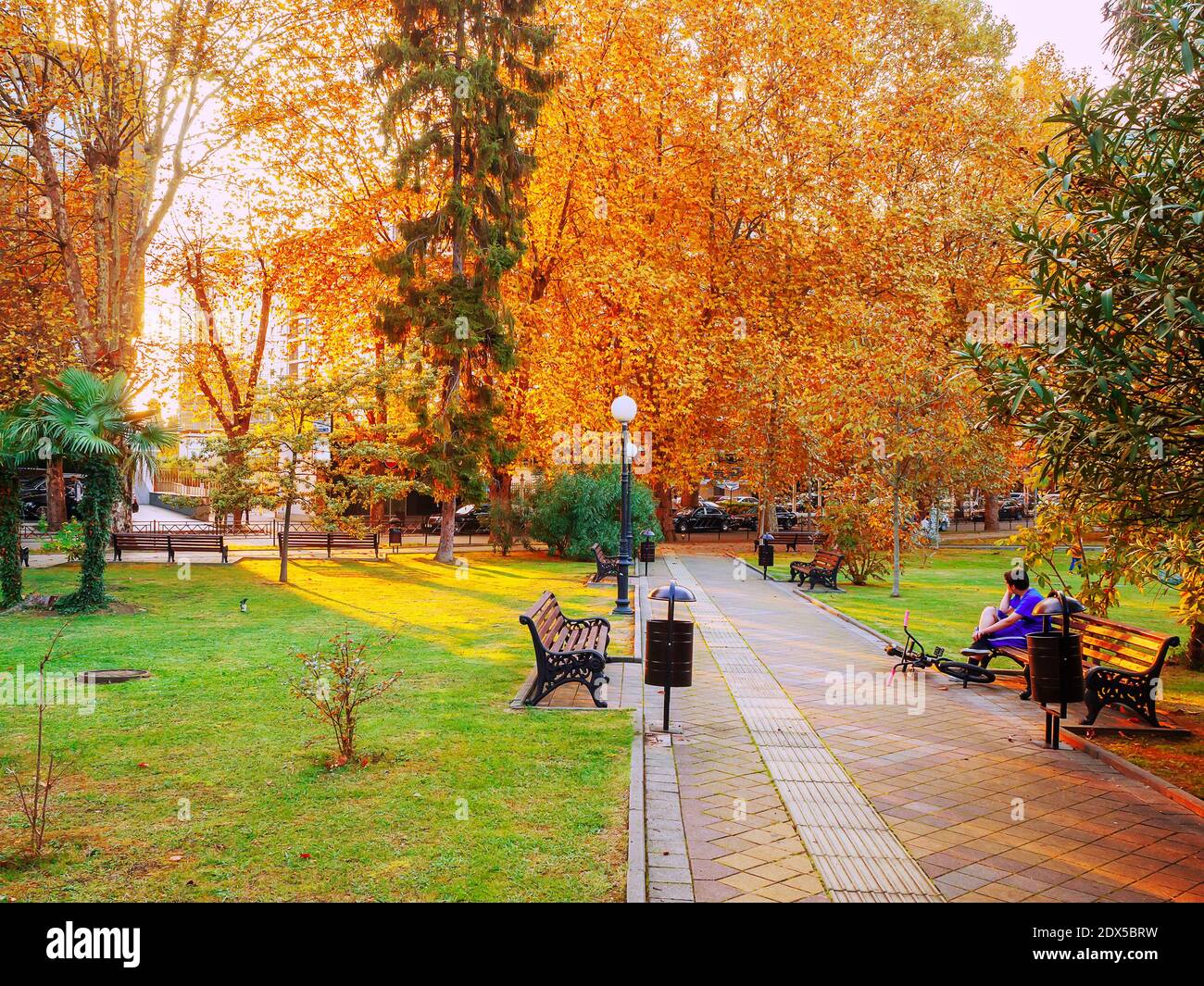 Vicolo pedonale con panchine lungo un prato verde e alberi con fogliame giallo intorno Foto Stock