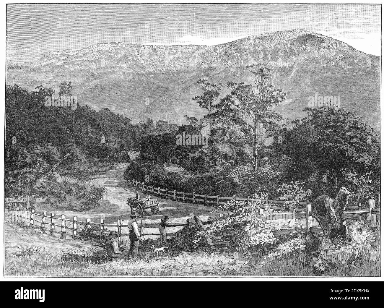 Incisione di agricoltori che lavorano vicino a Mount Wellington, Tasmania, Australia, circa 1890 Foto Stock