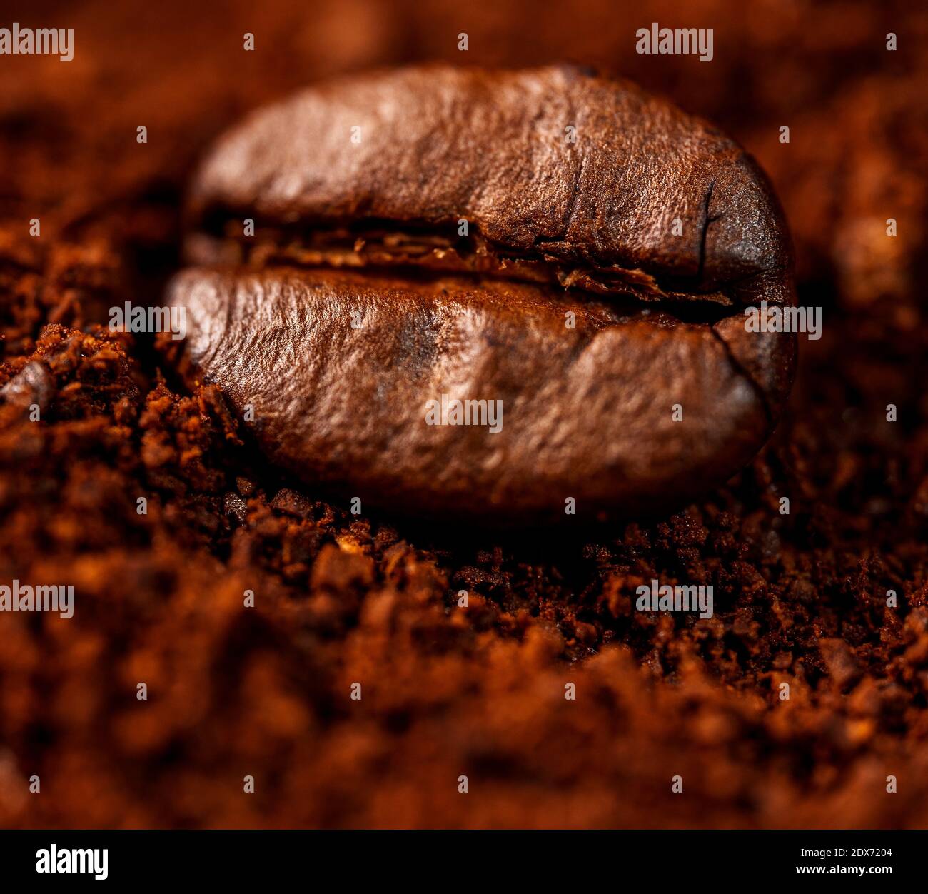 Vista macro di chicchi di caffè singoli e caffè macinato. Foto Stock