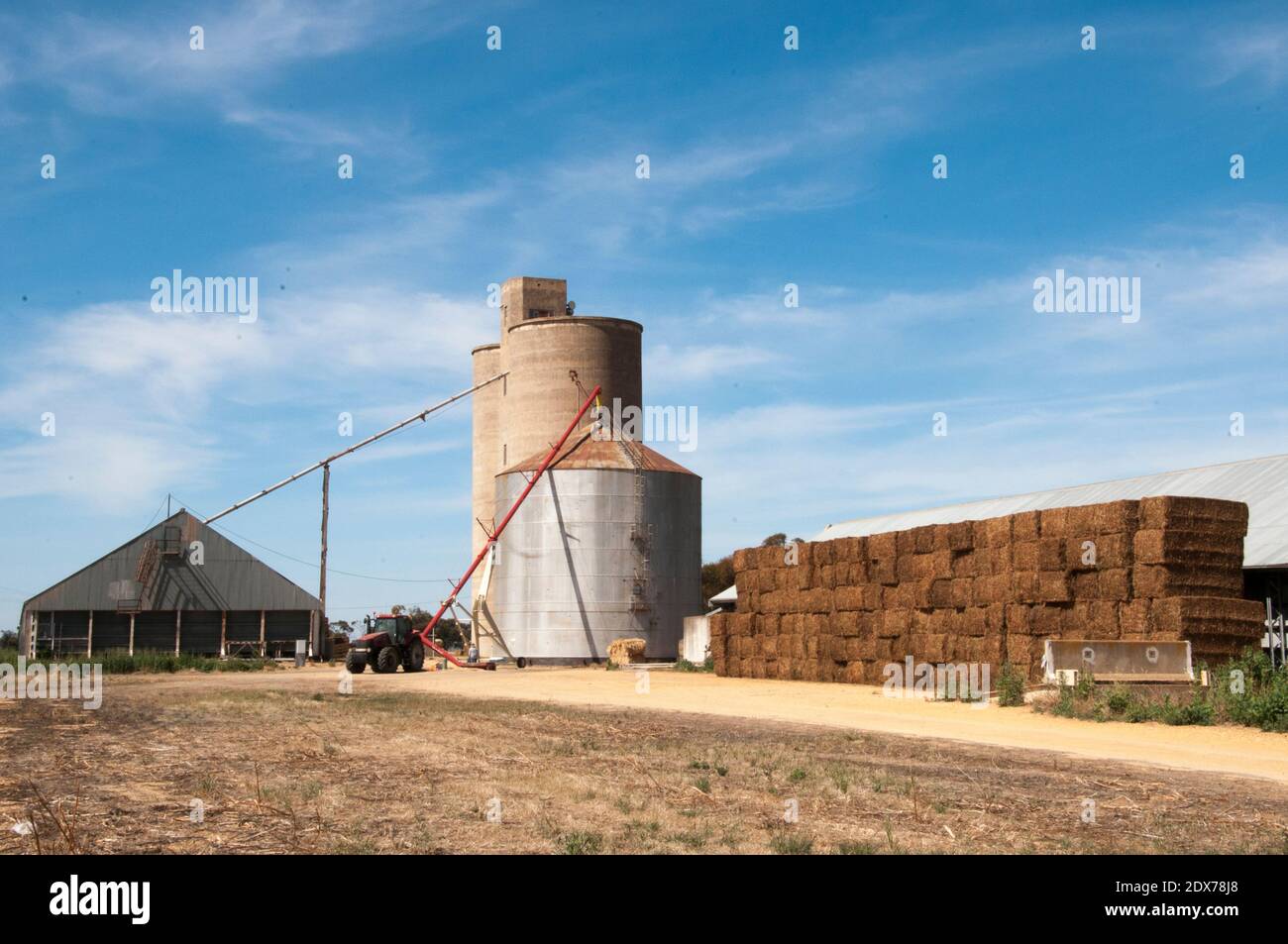 Operazioni di silo di grano a Dumosa, vicino a Wycheproof, nella regione di Wimmera, Victoria, Australia. 2020 ha visto un raccolto di grano paraurti dopo anni di siccità. Foto Stock