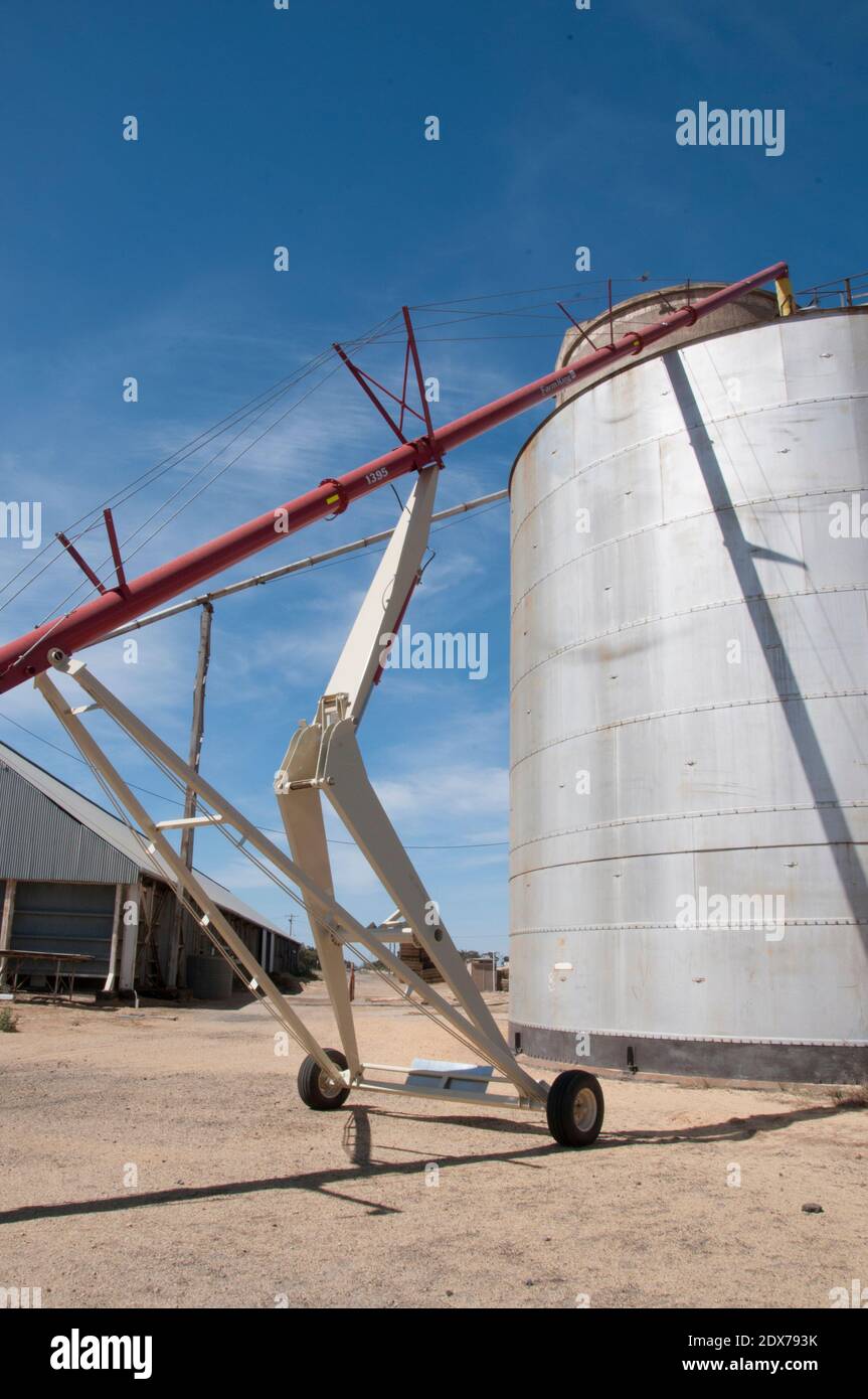 Operazioni di silo di grano a Dumosa, vicino a Wycheproof, nella regione di Wimmera, Victoria, Australia. 2020 ha visto un raccolto di grano del paraurti raccolto. Foto Stock