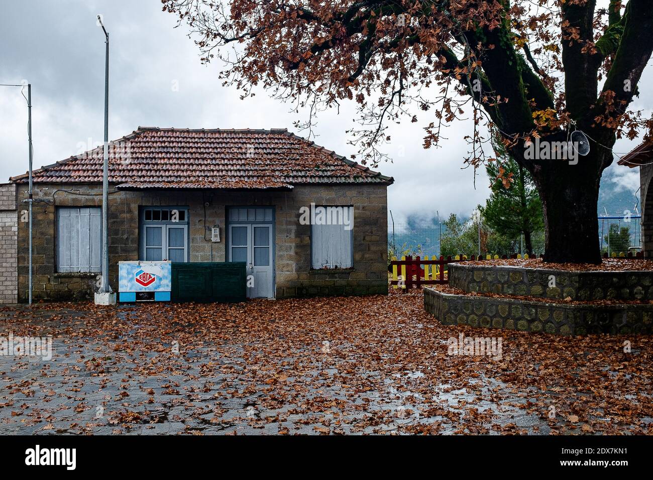 Tzoumerka, Epiro, Grecia - 15 dicembre 2017: Autunno sul pavimento Foto Stock