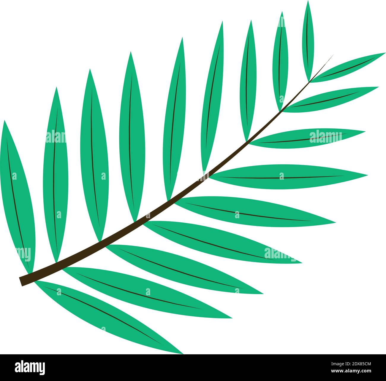 pinnate foglia pianta stile piatto Illustrazione Vettoriale