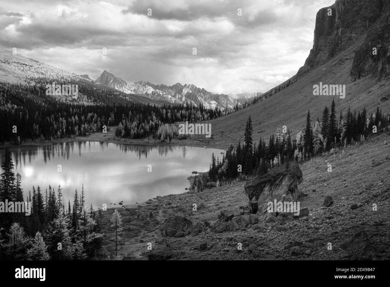 Tarn a Banff Foto Stock