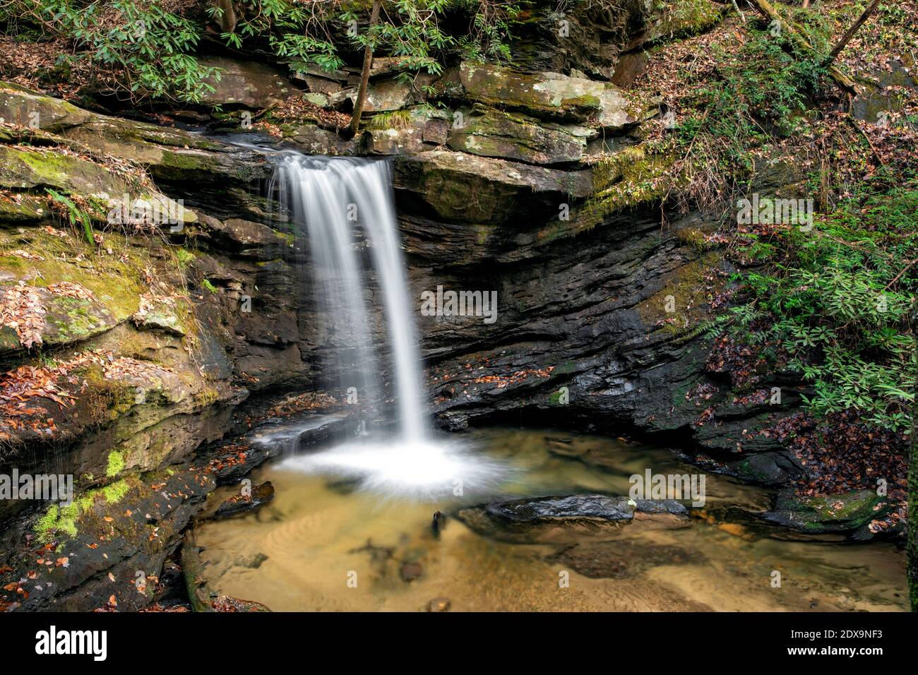 Sweet Thing Falls su Slickum Creek - vicino a Cleveland, Carolina del Sud, Stati Uniti Foto Stock