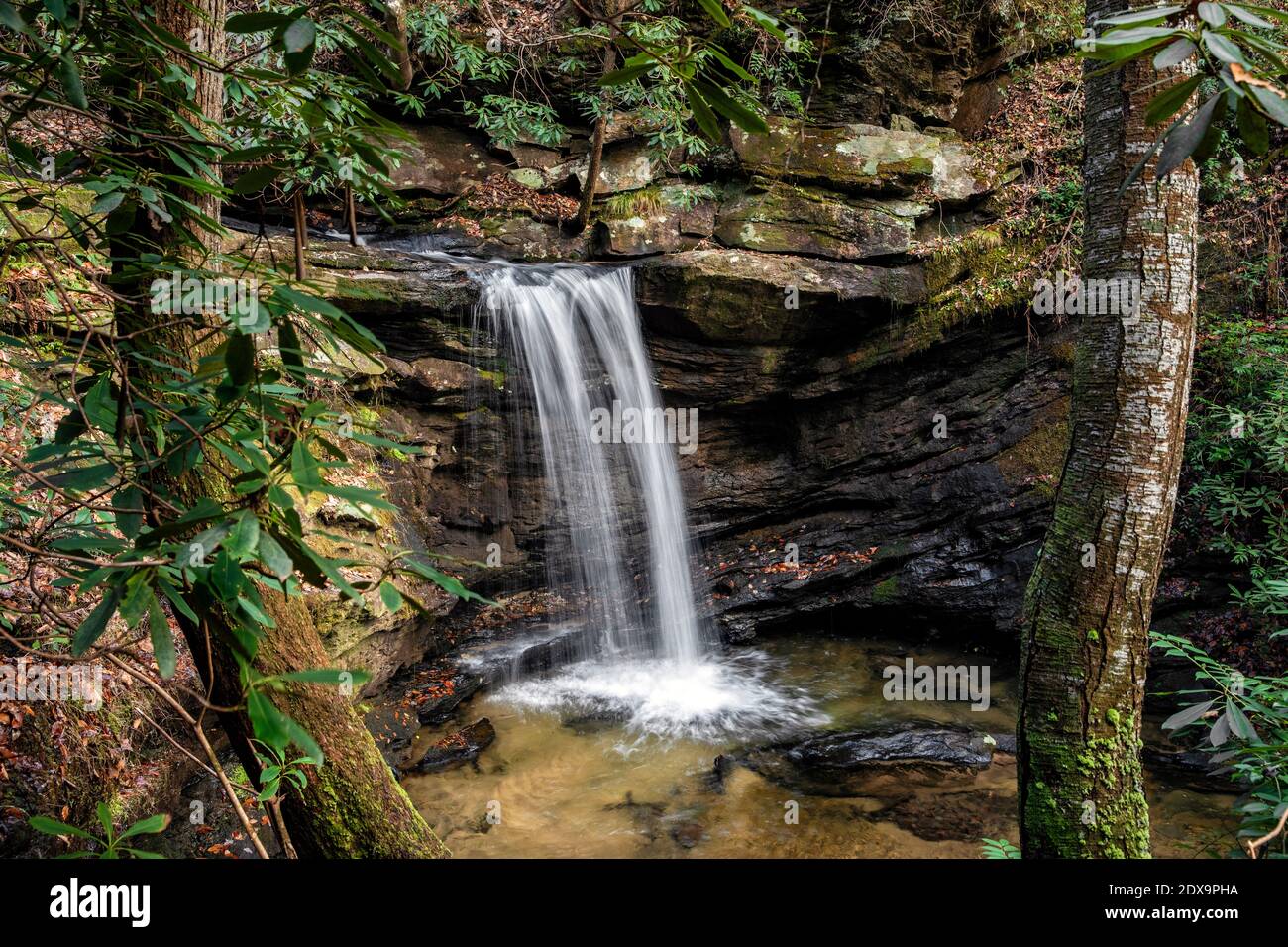 Sweet Thing Falls su Slickum Creek - vicino a Cleveland, Carolina del Sud, Stati Uniti Foto Stock