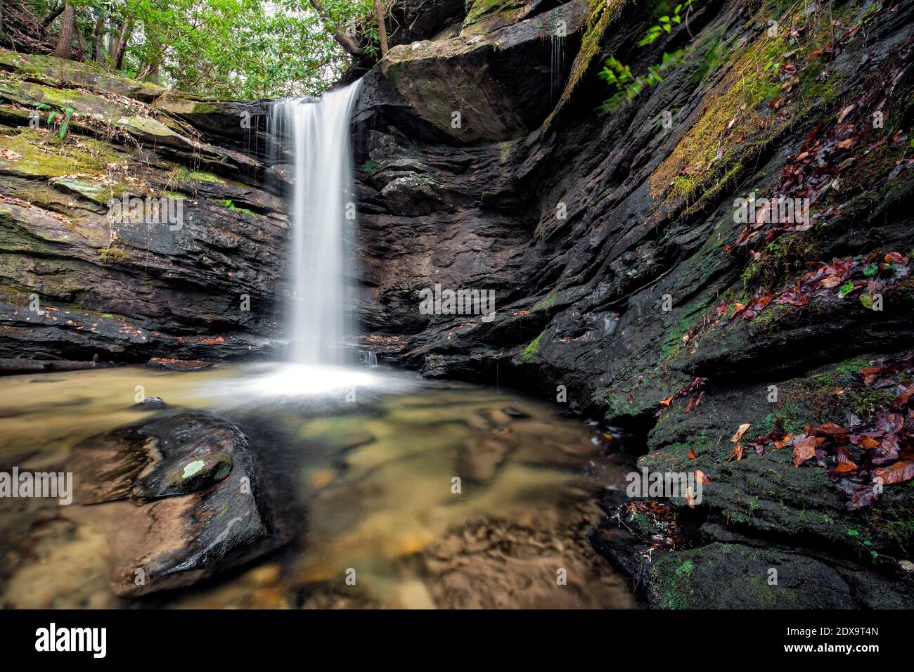 Sweet Thing Falls su Slickum Creek - vicino a Cleveland, Carolina del Sud, Stati Uniti Foto Stock