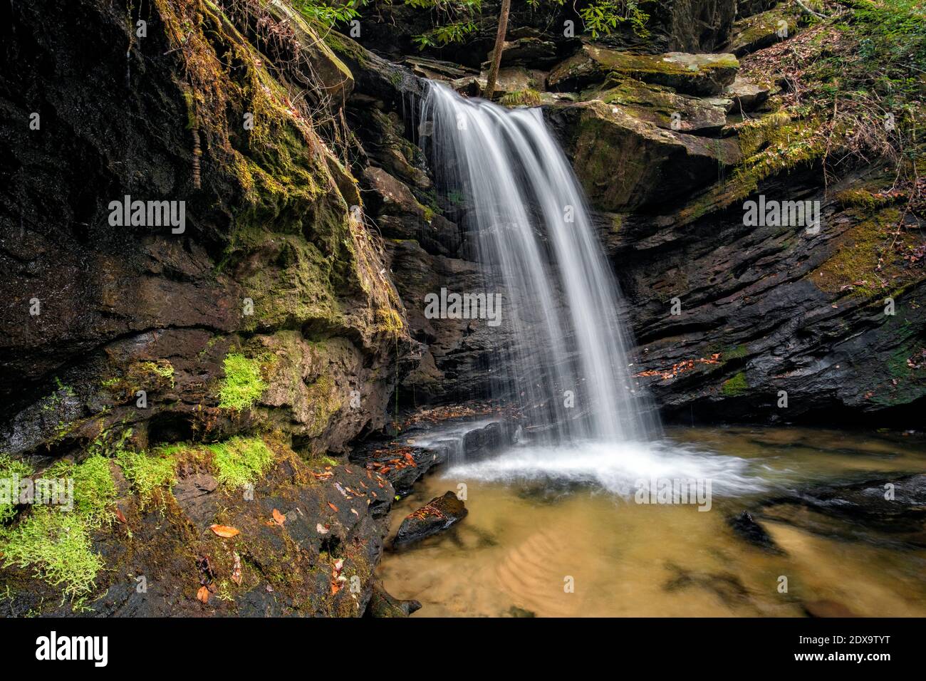 Sweet Thing Falls su Slickum Creek - vicino a Cleveland, Carolina del Sud, Stati Uniti Foto Stock