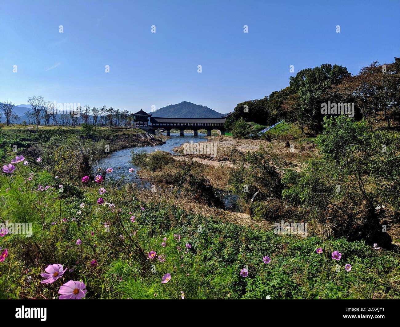 Giardino coreano con ponte sullo sfondo Foto Stock