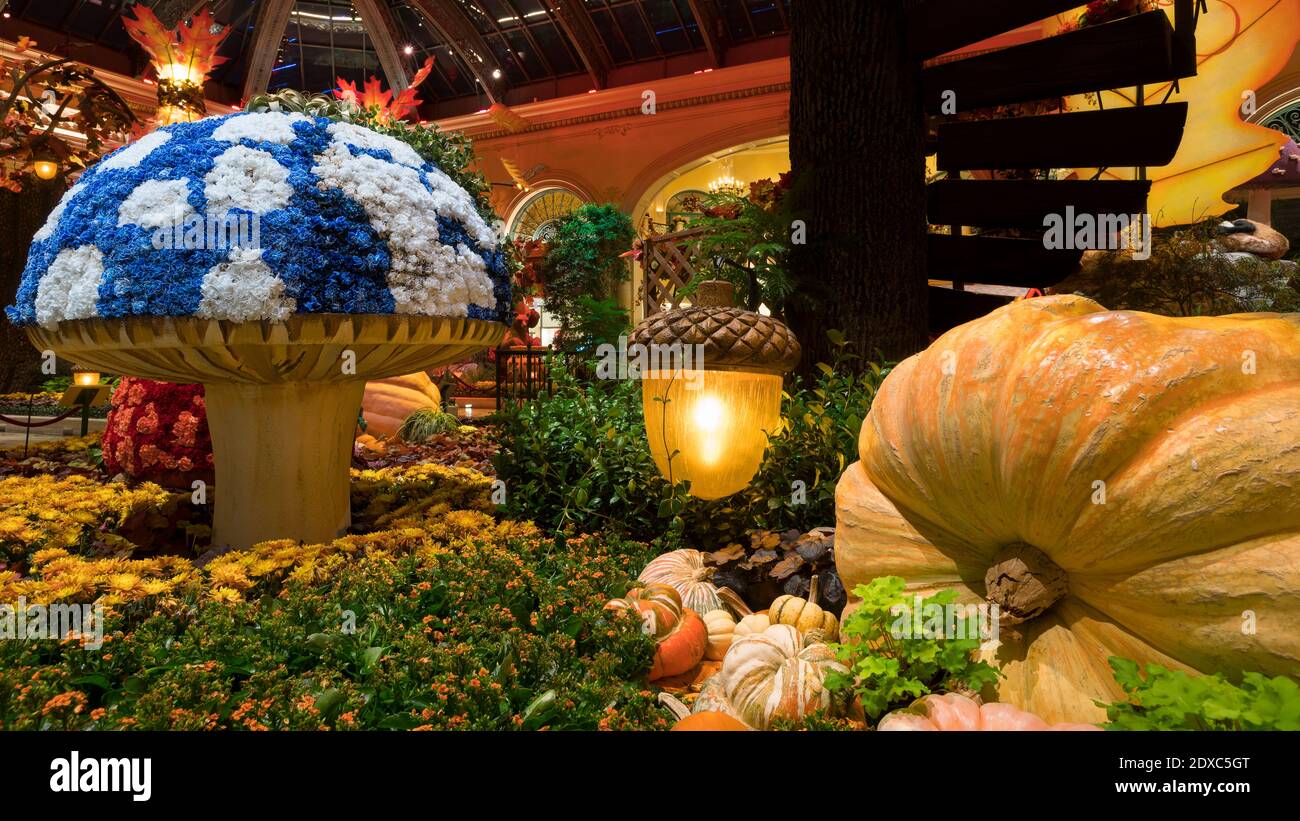 2020 decorazione del Ringraziamento, Bellagio Conservatory & Botanical Gardens, Las Vegas, USA Foto Stock
